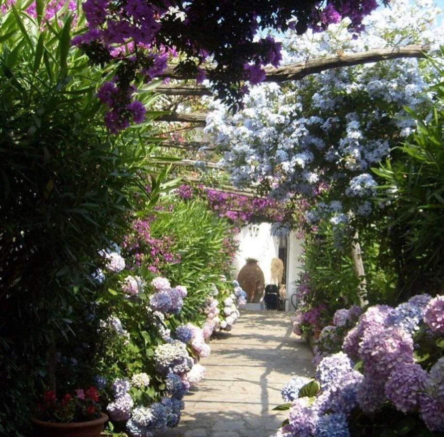 Marunnella Suites Capri Exterior photo